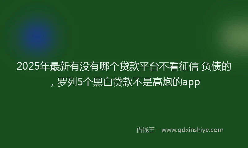 2025年最新有没有哪个贷款平台不看征信 负债的，罗列5个黑白贷款不是高炮的app