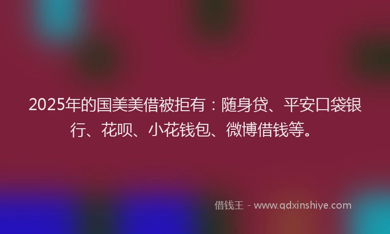 2025年的国美美借被拒有：随身贷、平安口袋银行、花呗、小花钱包、微博借钱等。