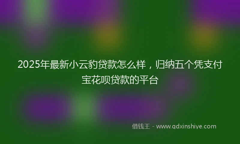 2025年最新小云豹贷款怎么样，归纳五个凭支付宝花呗贷款的平台