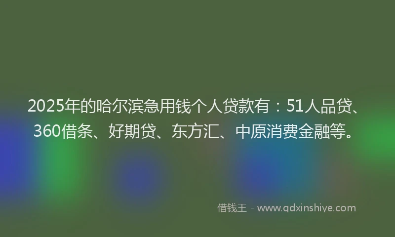 2025年的哈尔滨急用钱个人贷款有：51人品贷、360借条、好期贷、东方汇、中原消费金融等。