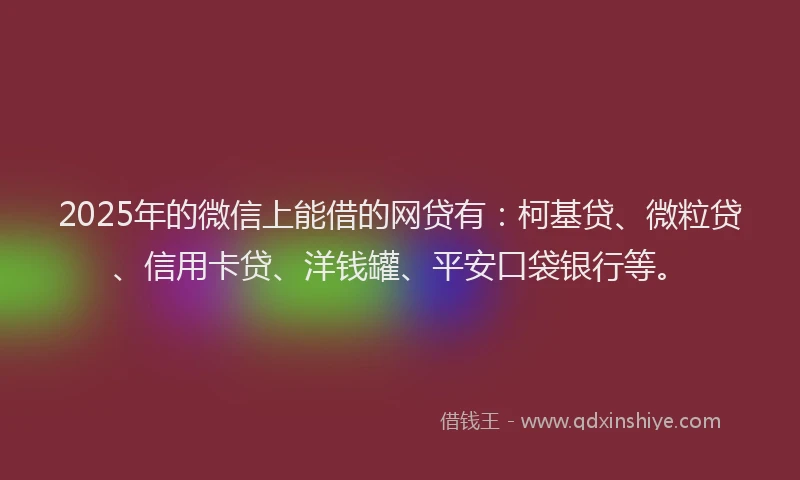 2025年的微信上能借的网贷有：柯基贷、微粒贷、信用卡贷、洋钱罐、平安口袋银行等。