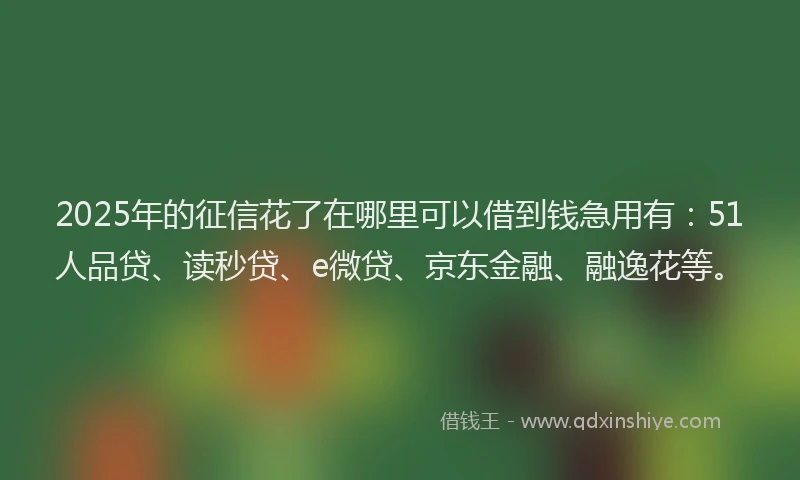 2025年的征信花了在哪里可以借到钱急用有：51人品贷、读秒贷、e微贷、京东金融、融逸花等。
