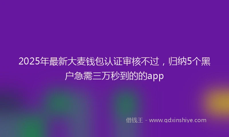 2025年最新大麦钱包认证审核不过，归纳5个黑户急需三万秒到的的app