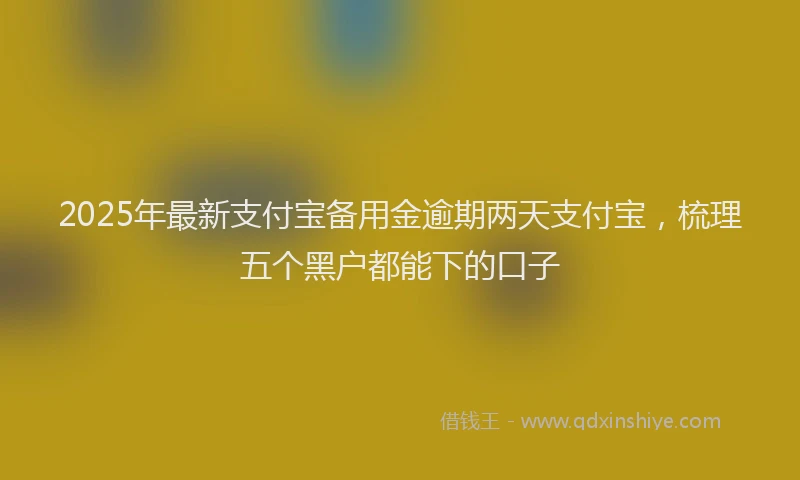 2025年最新支付宝备用金逾期两天支付宝，梳理五个黑户都能下的口子
