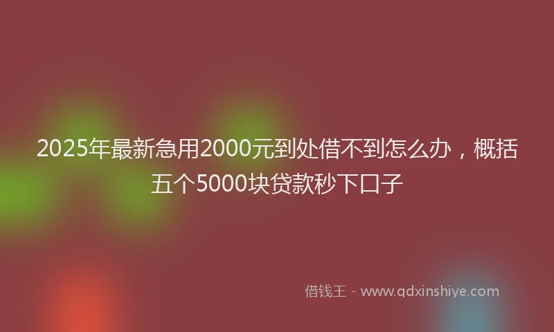 2025年最新急用2000元到处借不到怎么办，概括五个5000块贷款秒下口子