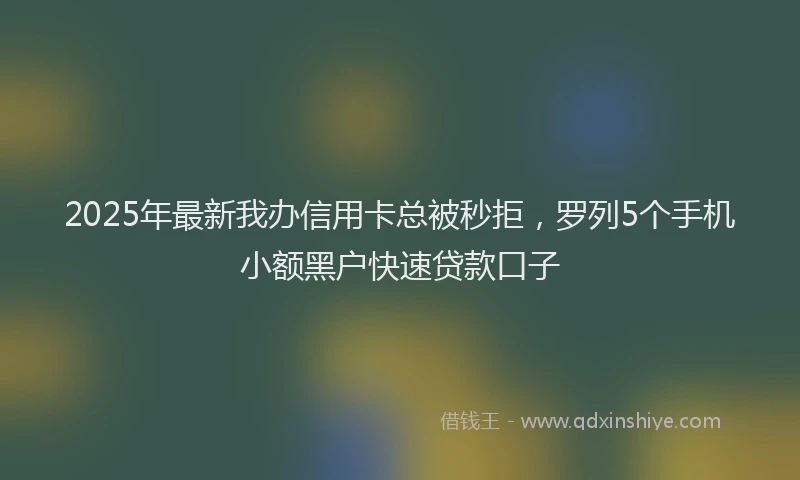 2025年最新我办信用卡总被秒拒，罗列5个手机小额黑户快速贷款口子