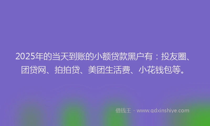 2025年的当天到账的小额贷款黑户有：投友圈、团贷网、拍拍贷、美团生活费、小花钱包等。