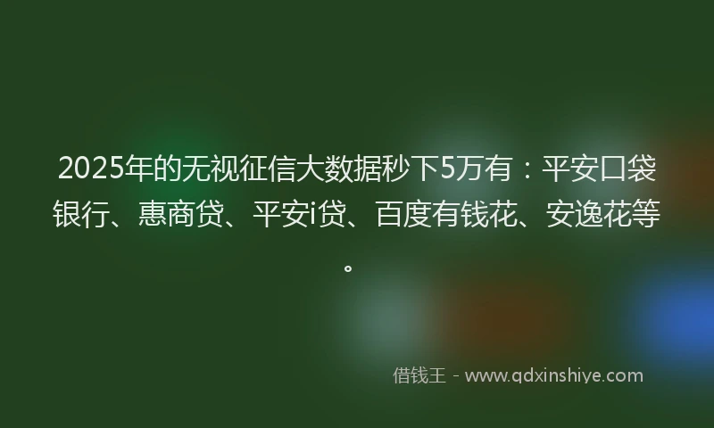 2025年的无视征信大数据秒下5万有：平安口袋银行、惠商贷、平安i贷、百度有钱花、安逸花等。