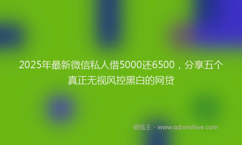 2025年最新微信私人借5000还6500，分享五个真正无视风控黑白的网贷