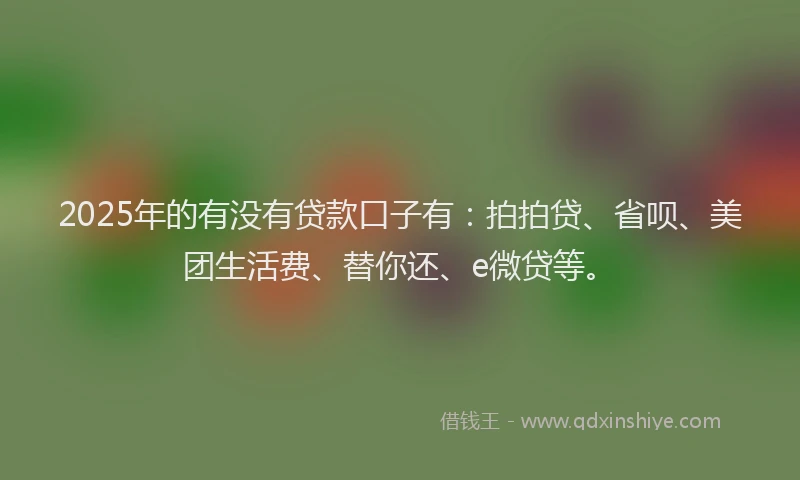 2025年的有没有贷款口子有：拍拍贷、省呗、美团生活费、替你还、e微贷等。