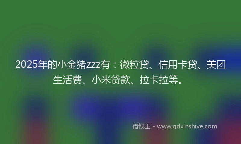 2025年的小金猪zzz有：微粒贷、信用卡贷、美团生活费、小米贷款、拉卡拉等。