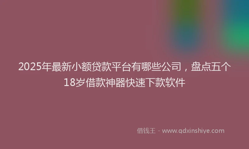 2025年最新小额贷款平台有哪些公司，盘点五个18岁借款神器快速下款软件