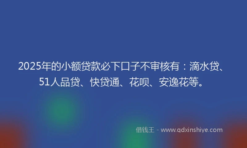 2025年的小额贷款必下口子不审核有：滴水贷、51人品贷、快贷通、花呗、安逸花等。