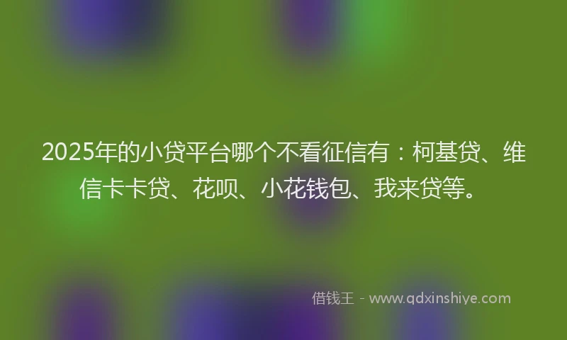 2025年的小贷平台哪个不看征信有：柯基贷、维信卡卡贷、花呗、小花钱包、我来贷等。