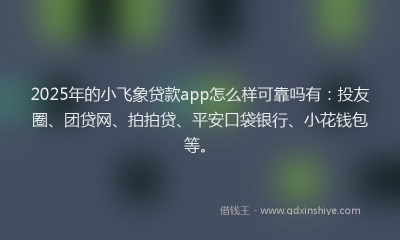 2025年的小飞象贷款app怎么样可靠吗有：投友圈、团贷网、拍拍贷、平安口袋银行、小花钱包等。