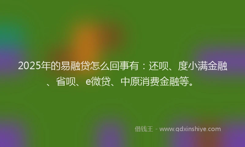 2025年的易融贷怎么回事有：还呗、度小满金融、省呗、e微贷、中原消费金融等。