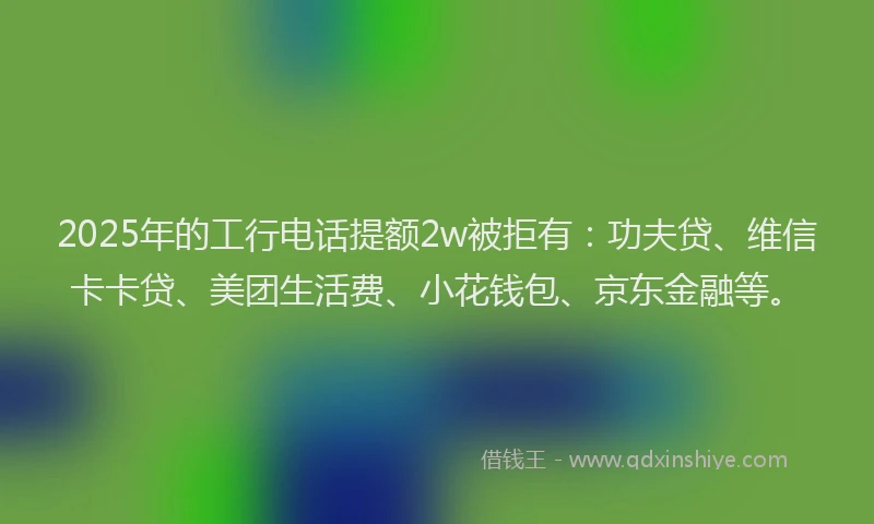 2025年的工行电话提额2w被拒有：功夫贷、维信卡卡贷、美团生活费、小花钱包、京东金融等。