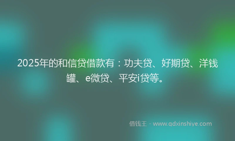 2025年的和信贷借款有：功夫贷、好期贷、洋钱罐、e微贷、平安i贷等。