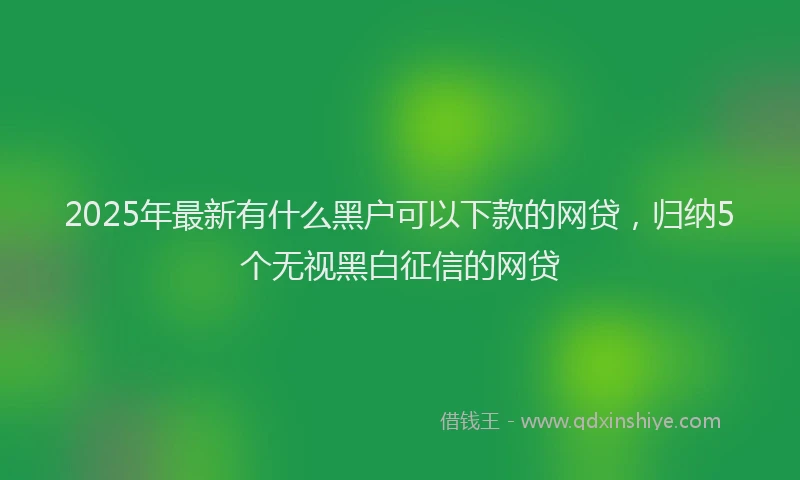 2025年最新有什么黑户可以下款的网贷，归纳5个无视黑白征信的网贷