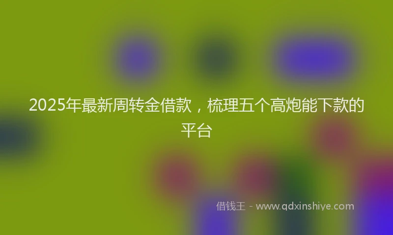 2025年最新周转金借款，梳理五个高炮能下款的平台