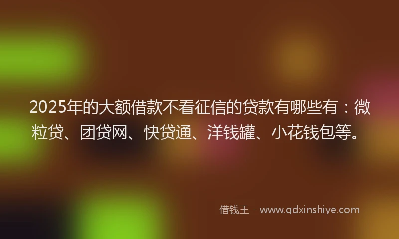 2025年的大额借款不看征信的贷款有哪些有：微粒贷、团贷网、快贷通、洋钱罐、小花钱包等。