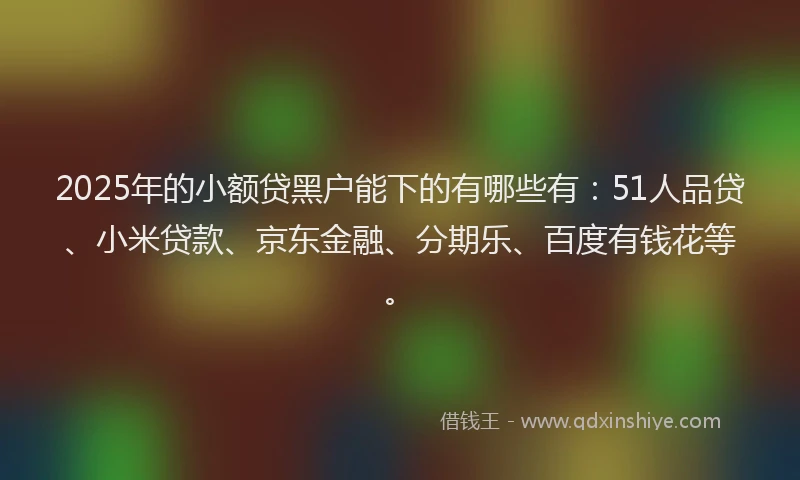2025年的小额贷黑户能下的有哪些有：51人品贷、小米贷款、京东金融、分期乐、百度有钱花等。