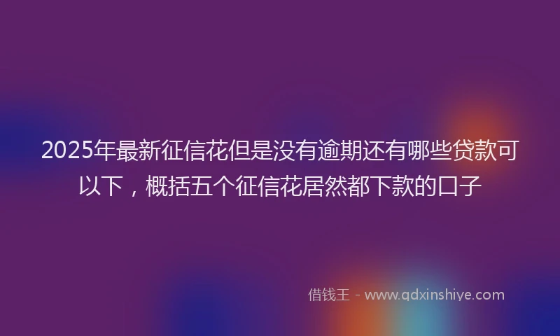 2025年最新征信花但是没有逾期还有哪些贷款可以下，概括五个征信花居然都下款的口子
