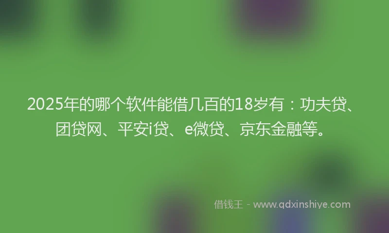 2025年的哪个软件能借几百的18岁有：功夫贷、团贷网、平安i贷、e微贷、京东金融等。