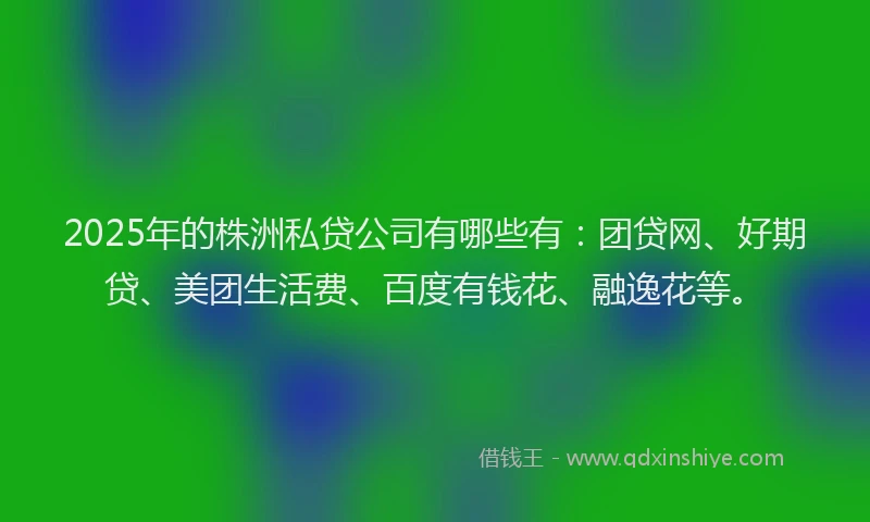 2025年的株洲私贷公司有哪些有：团贷网、好期贷、美团生活费、百度有钱花、融逸花等。