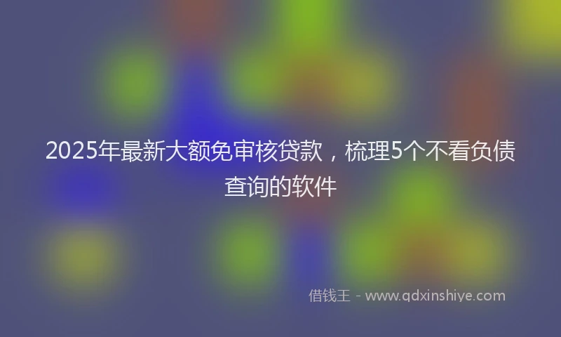 2025年最新大额免审核贷款，梳理5个不看负债查询的软件