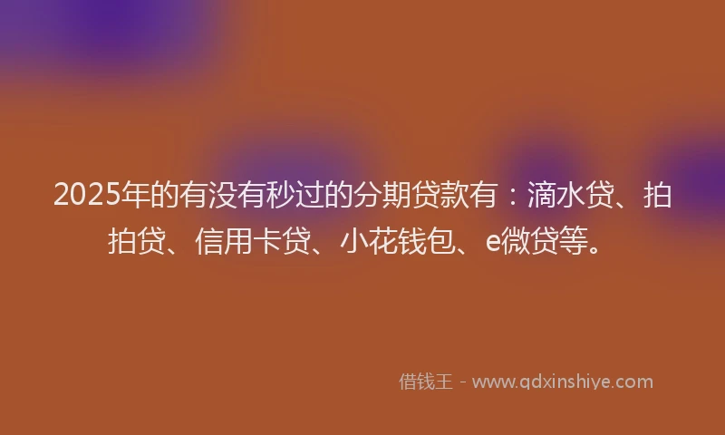 2025年的有没有秒过的分期贷款有：滴水贷、拍拍贷、信用卡贷、小花钱包、e微贷等。