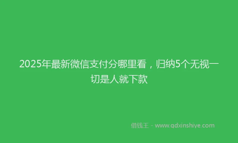 2025年最新微信支付分哪里看，归纳5个无视一切是人就下款