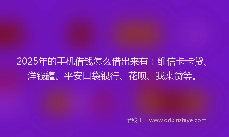 2025年的手机借钱怎么借出来有：维信卡卡贷、洋钱罐、平安口袋银行、花呗、我来贷等。