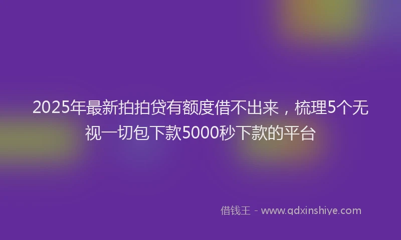 2025年最新拍拍贷有额度借不出来，梳理5个无视一切包下款5000秒下款的平台
