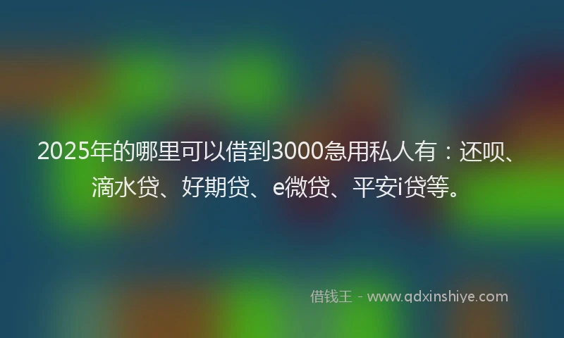 2025年的哪里可以借到3000急用私人有：还呗、滴水贷、好期贷、e微贷、平安i贷等。