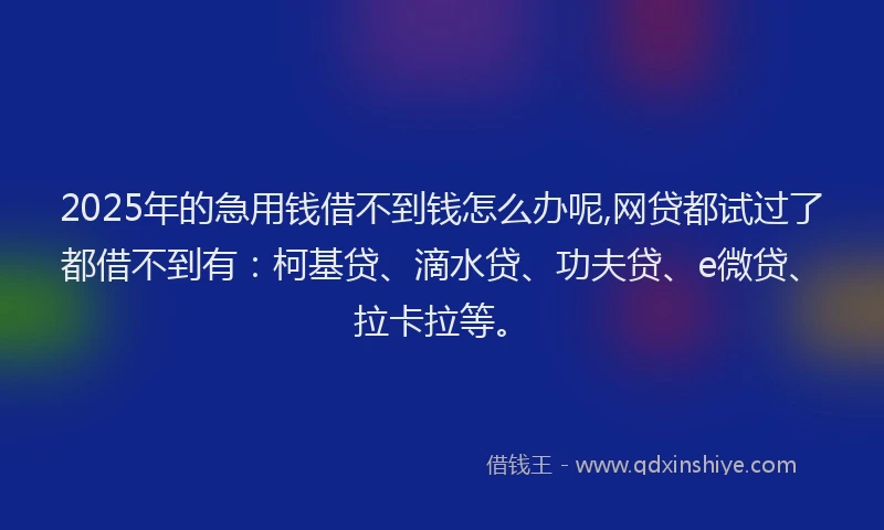 2025年的急用钱借不到钱怎么办呢,网贷都试过了都借不到有：柯基贷、滴水贷、功夫贷、e微贷、拉卡拉等。