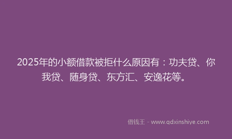 2025年的小额借款被拒什么原因有：功夫贷、你我贷、随身贷、东方汇、安逸花等。