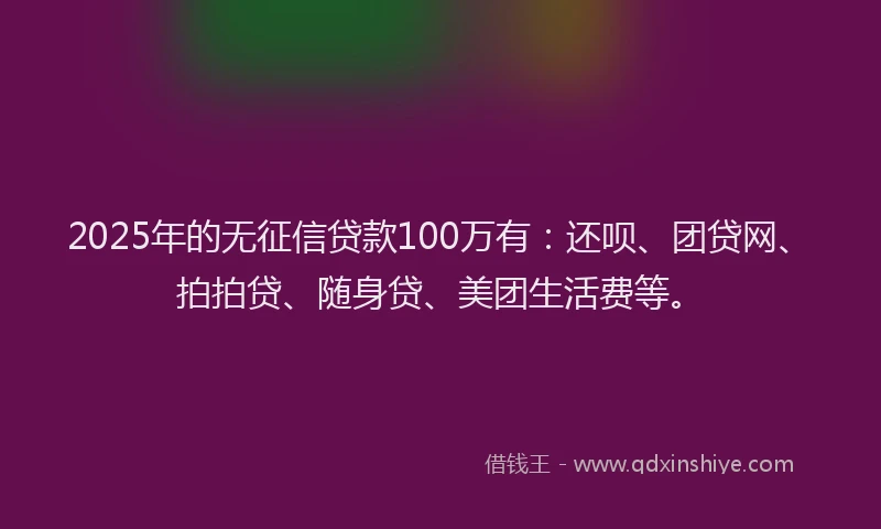 2025年的无征信贷款100万有：还呗、团贷网、拍拍贷、随身贷、美团生活费等。