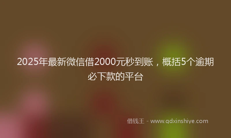 2025年最新微信借2000元秒到账，概括5个逾期必下款的平台