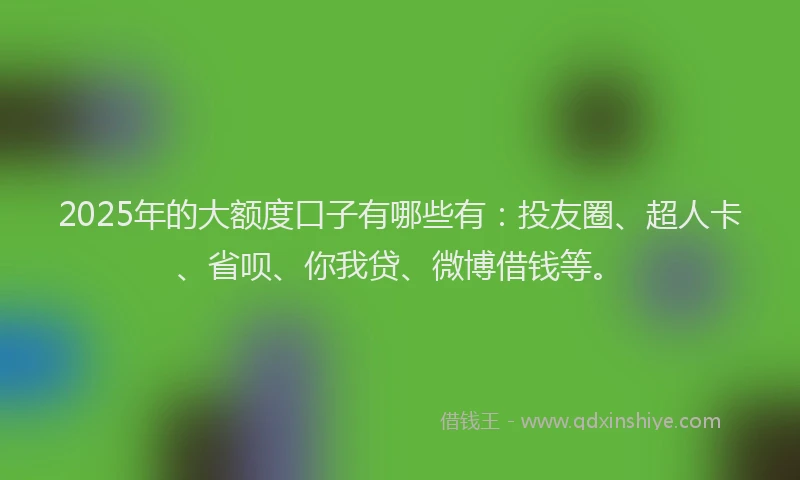 2025年的大额度口子有哪些有：投友圈、超人卡、省呗、你我贷、微博借钱等。