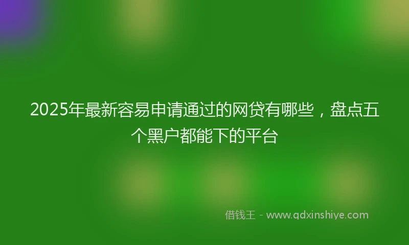 2025年最新容易申请通过的网贷有哪些，盘点五个黑户都能下的平台