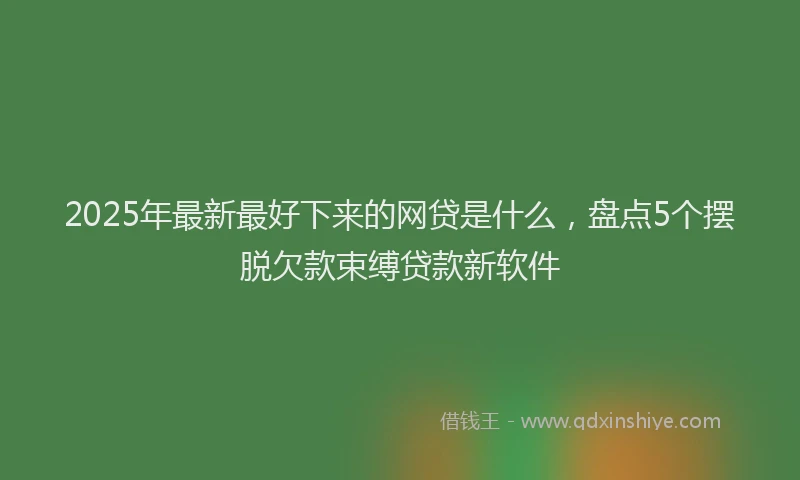 2025年最新最好下来的网贷是什么，盘点5个摆脱欠款束缚贷款新软件