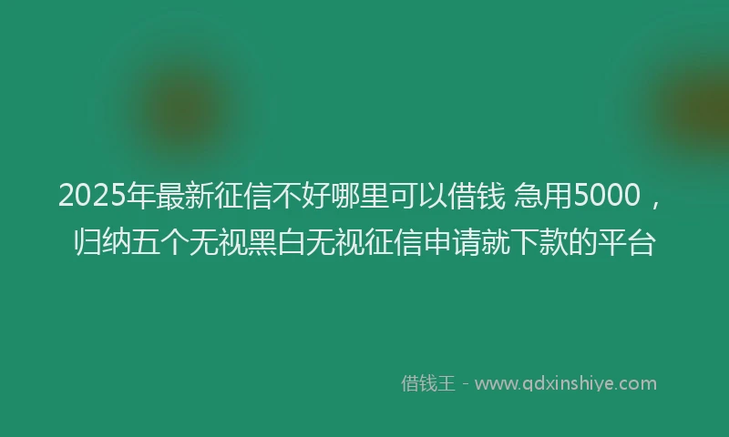 2025年最新征信不好哪里可以借钱 急用5000，归纳五个无视黑白无视征信申请就下款的平台