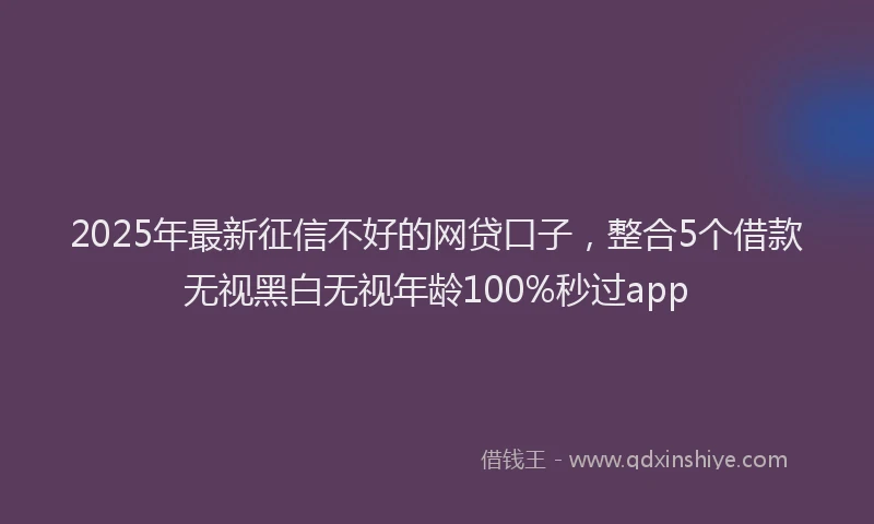 2025年最新征信不好的网贷口子，整合5个借款无视黑白无视年龄100%秒过app