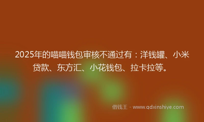 2025年的喵喵钱包审核不通过有：洋钱罐、小米贷款、东方汇、小花钱包、拉卡拉等。