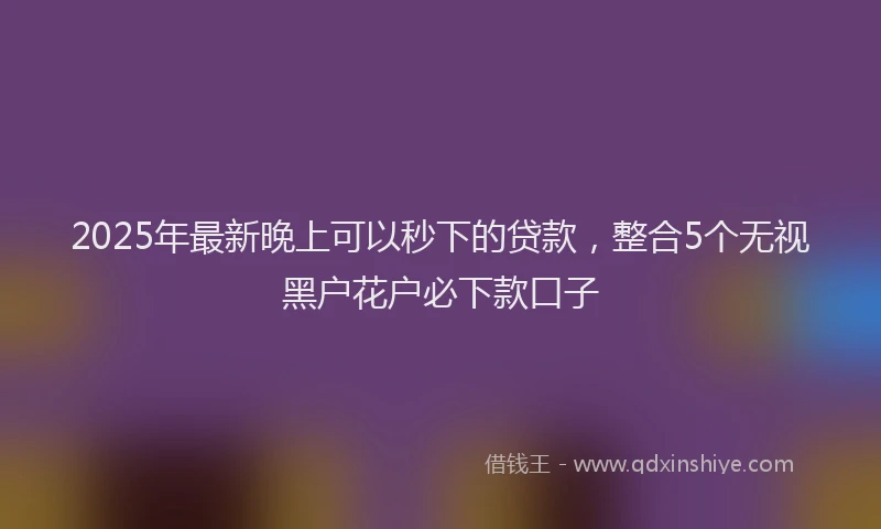 2025年最新晚上可以秒下的贷款，整合5个无视黑户花户必下款口子
