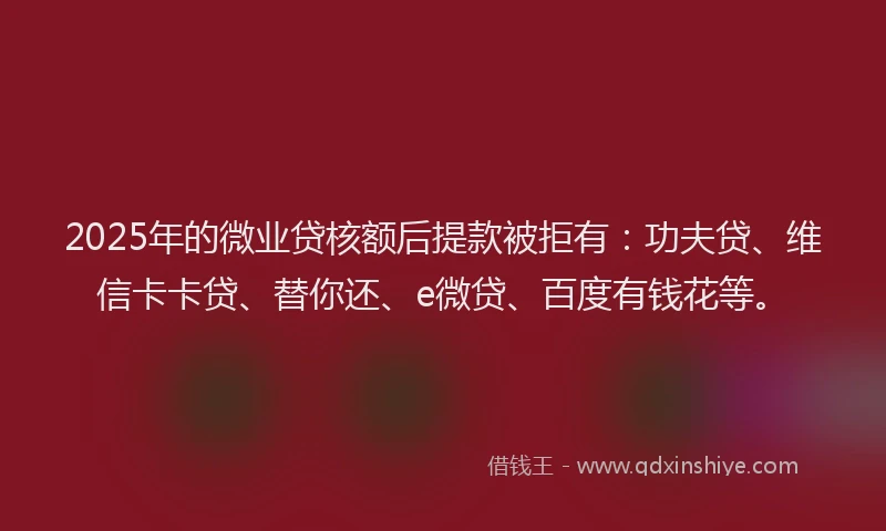 2025年的微业贷核额后提款被拒有：功夫贷、维信卡卡贷、替你还、e微贷、百度有钱花等。