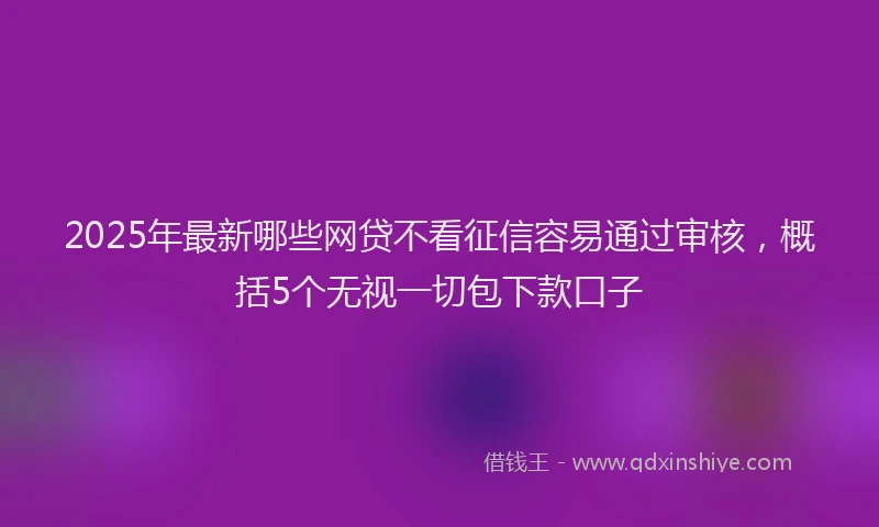 2025年最新哪些网贷不看征信容易通过审核，概括5个无视一切包下款口子