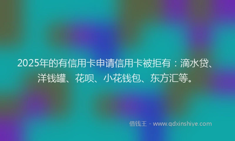 2025年的有信用卡申请信用卡被拒有：滴水贷、洋钱罐、花呗、小花钱包、东方汇等。