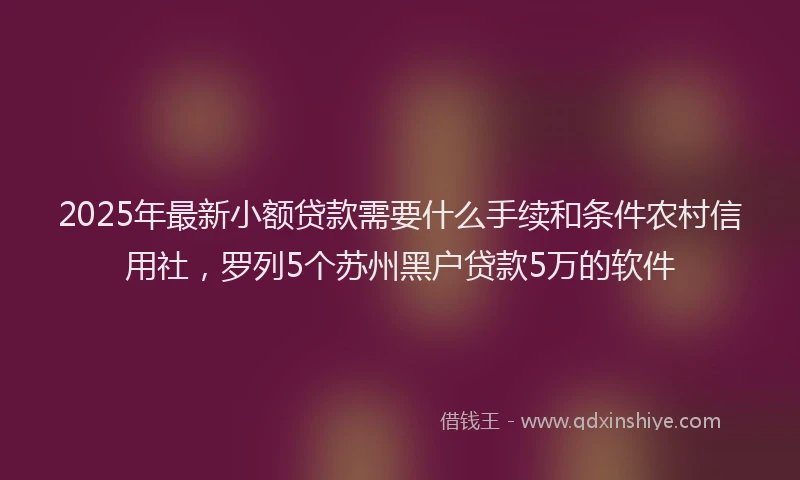 2025年最新小额贷款需要什么手续和条件农村信用社，罗列5个苏州黑户贷款5万的软件